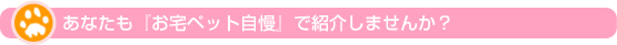 ȂwybgxŏЉ܂񂩁H